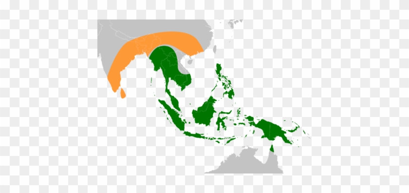 Original Native Ranges Of The Ancestors Of Modern Edible - China And Vietnam Map #1022237