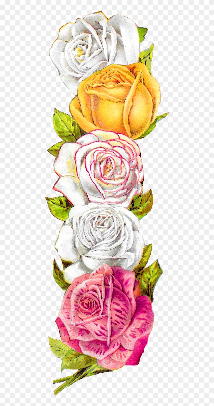 Posted On The Graphics Monarch, There Is A Pretty, - Download #1022253