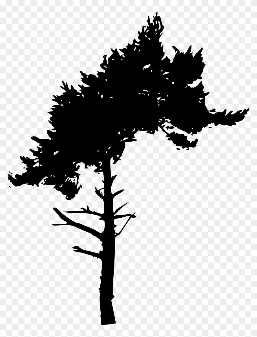 Tree Silhouette - Portable Network Graphics #1022414