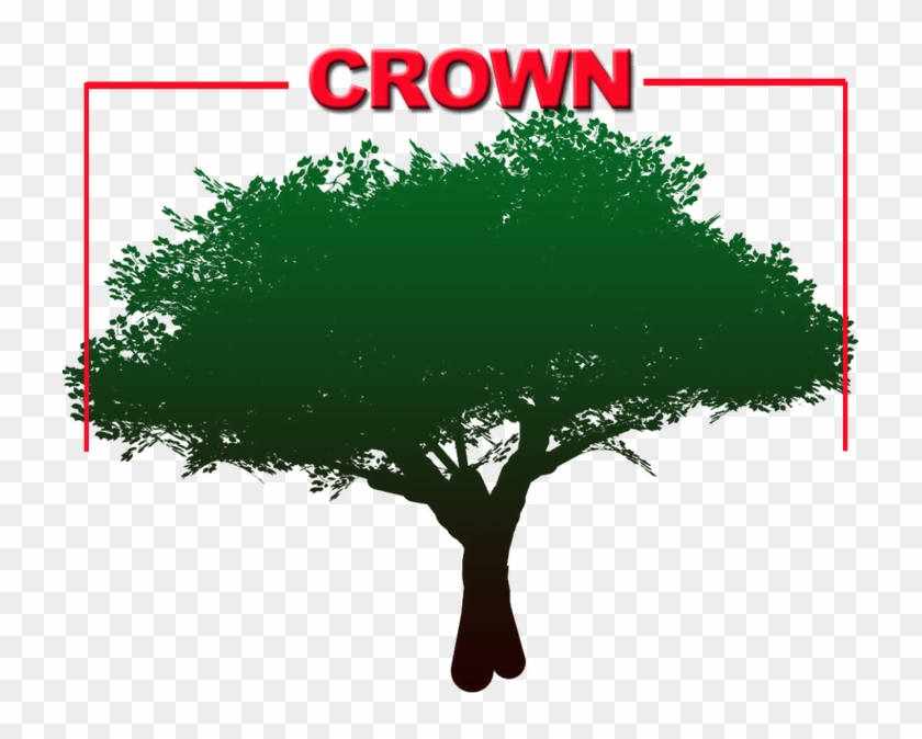 When Pruning The Tree, It's Important To Always Start - Get Out Of My Life Status #1022886