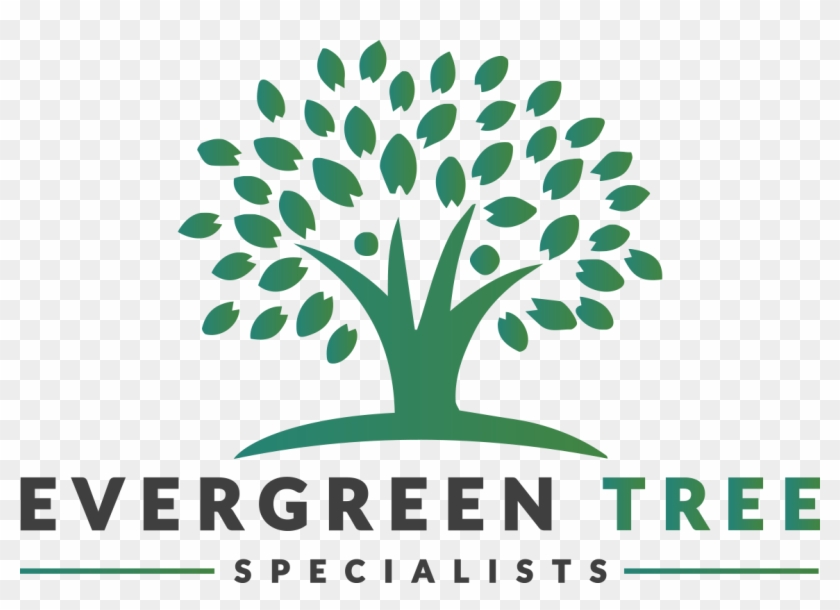 Home - Evergreen Tree Specialists (formally Known As Evergreen #1022904