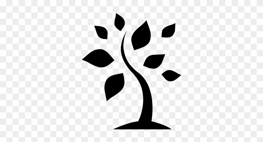   Tree Branch Clipart Png #1022993