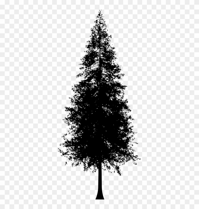 Pin Redwood Tree Clip Art - Redwood Tree Silhouette Vector #1023000