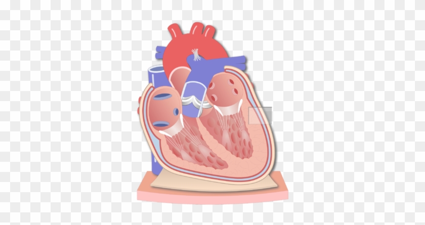 Coronal Section Of The Pericardium Animation Slide - Pericardial Cavity #1023597