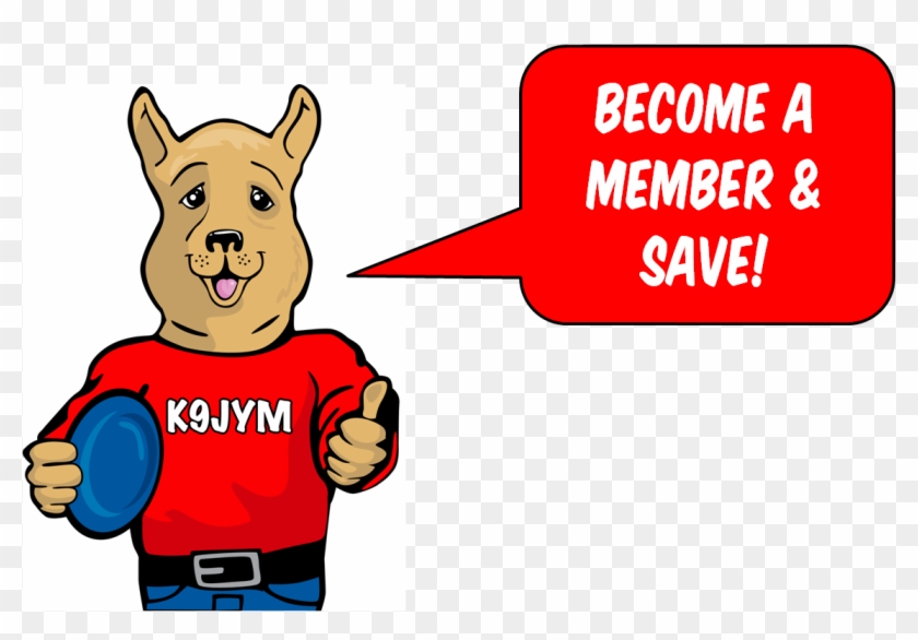 K9jym Members Save $$$$ - Arctic Monkeys T Shirt #1025228