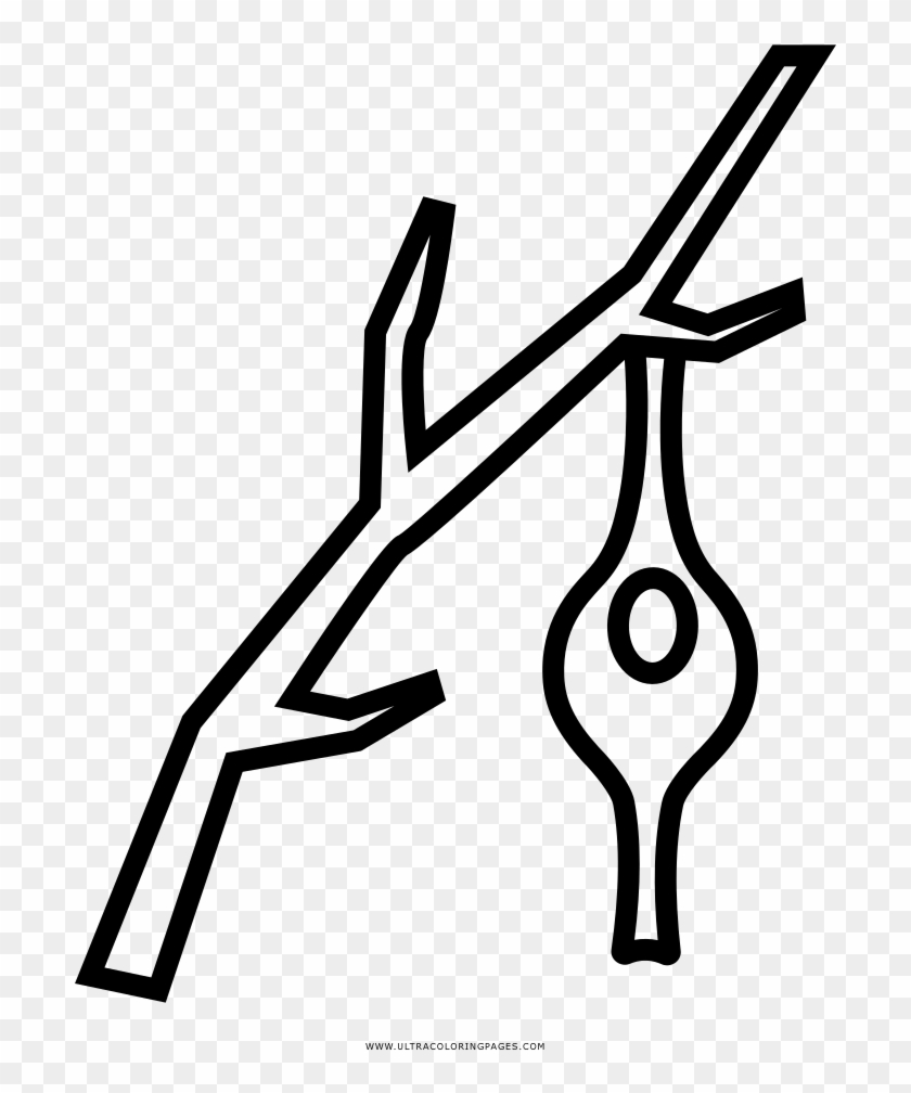 Nest Coloring Page - Drawing #1025440