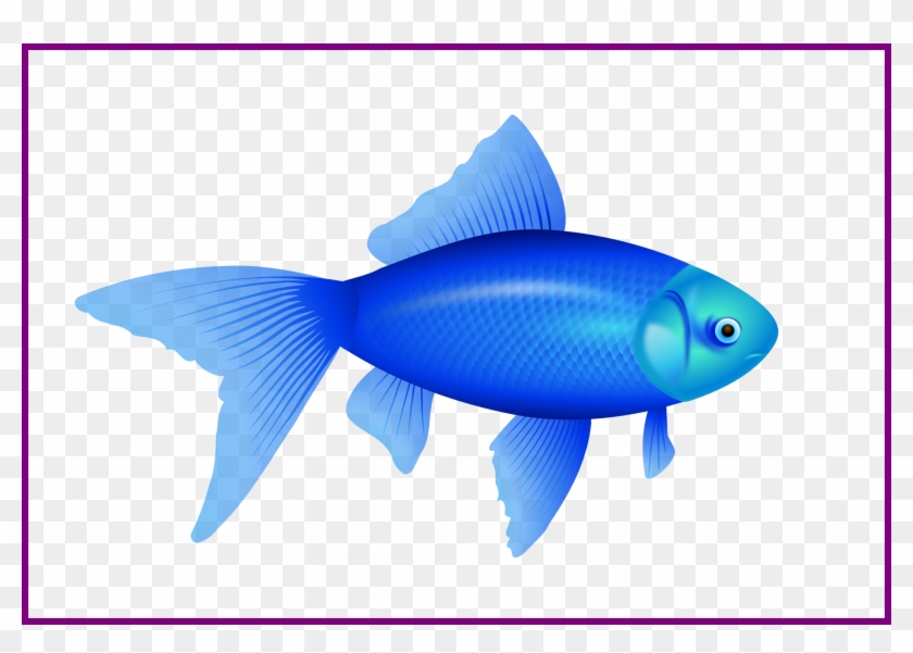 Fascinating Fish Png Clip Art And Album For Background - Custom Blue Fish Shower Curtain #1026138