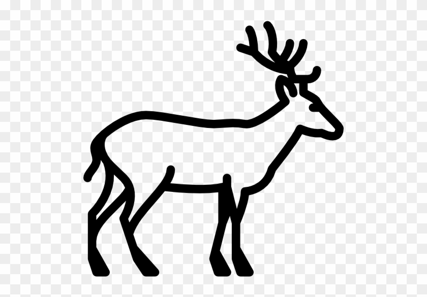 Animal Kingdom Clipart Forest - Deer Icon Black And White #1026280