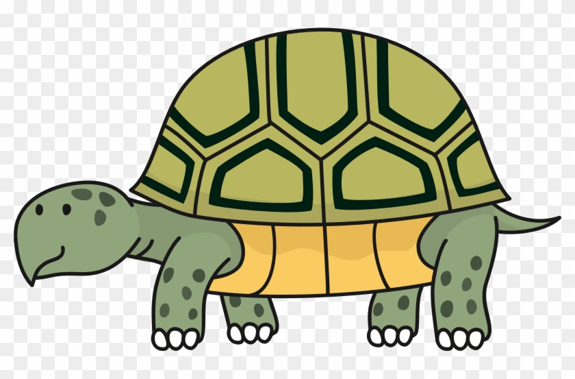 Medium Image - Tortoise Clipart #178799