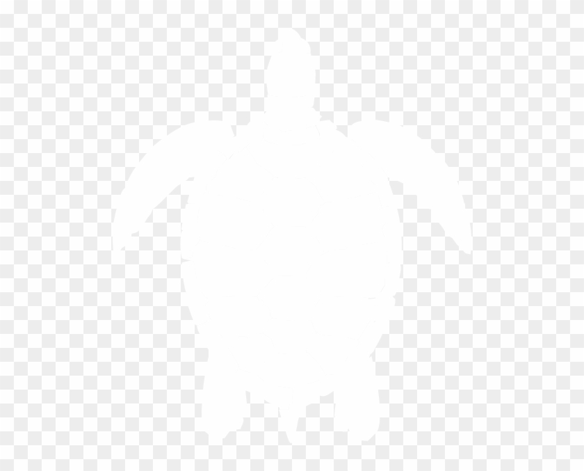 White Sea Turtle Clipart #178826