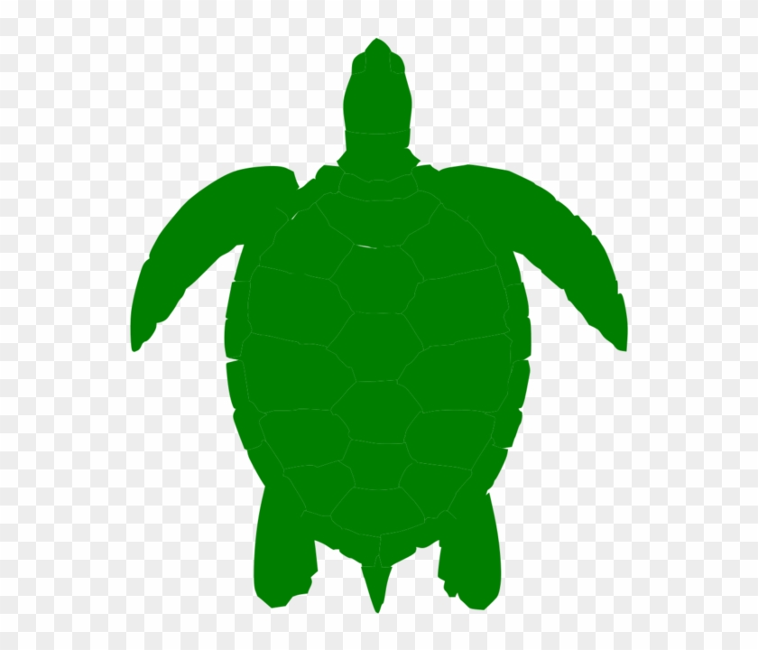Turtle Shell Template Clipart Best Vdib2c Clipart - Green Sea Turtle Clip Art #179009