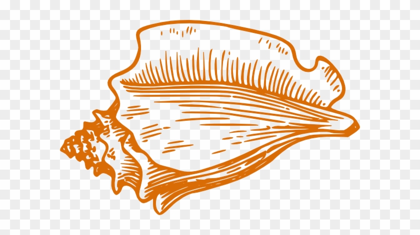 Orange Conch Shell Clip Art At Clker Com Vector Clip - Conch Shell Clip Art #179027