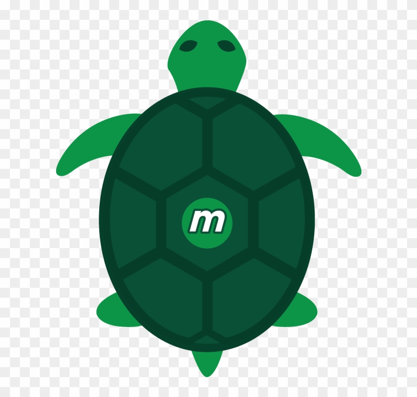 Totally Tubular Turtles - Cartoon #179237