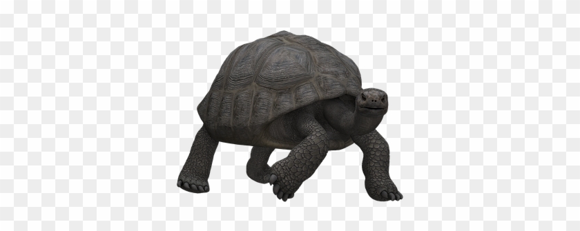 Turtle Panzer Animal Mammal Digital Art Is - , Slow Panzer Feasted Large Tote Bag, Adult Unisex, #179498