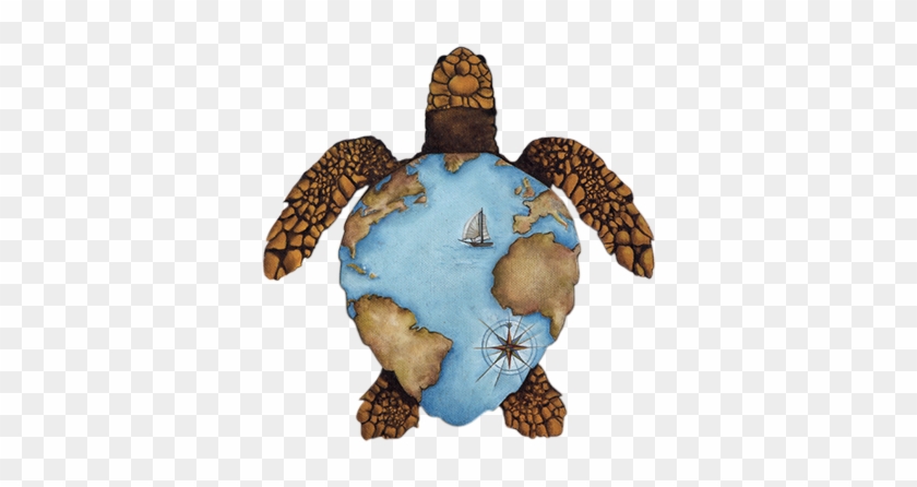 The Sea Turtles Center - Tortue Aquarium La Rochelle #179614