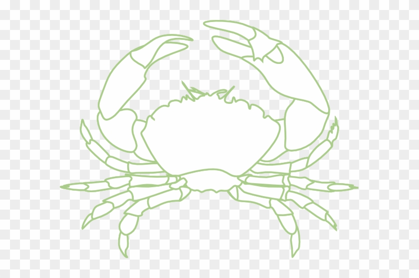Summary & Study Guide - The Emperor Of All Maladies: #180008