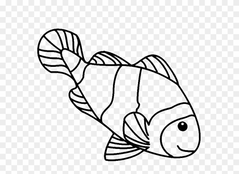 Fish Line Drawings - Coloring Page Clown Fish #180537