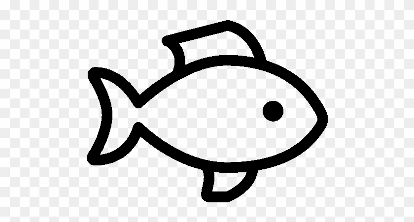 Fish #180548