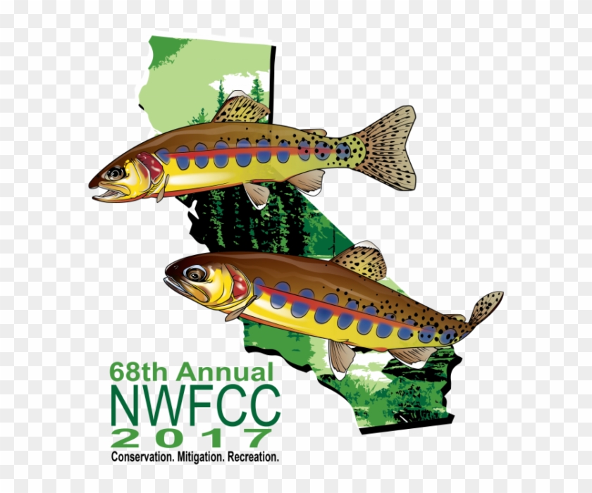 The California Department Of Fish And Wildlife Cordially - Trout #180607