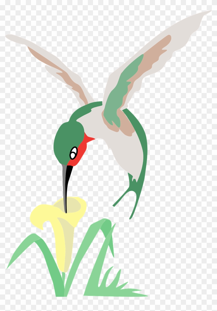Hummingbird And Flower Clipart - Hummingbird And Flower Cartoon #181097