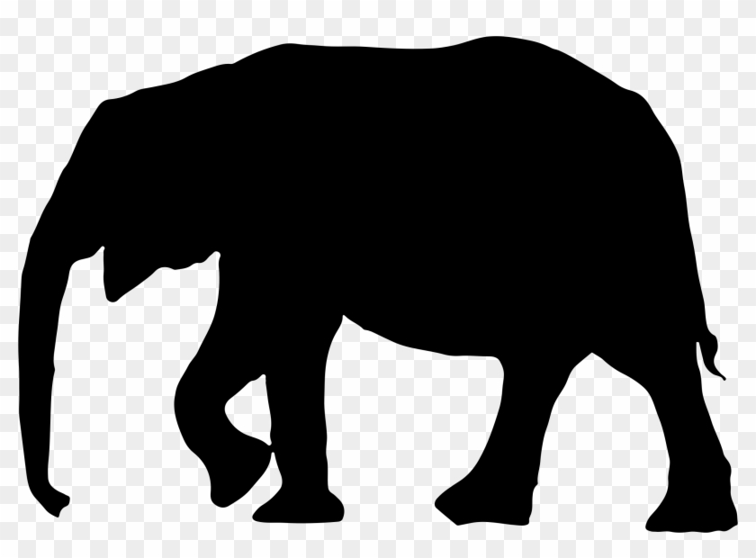 Cute Elephant Silhouette Best - Black Bear Silhouette #181800