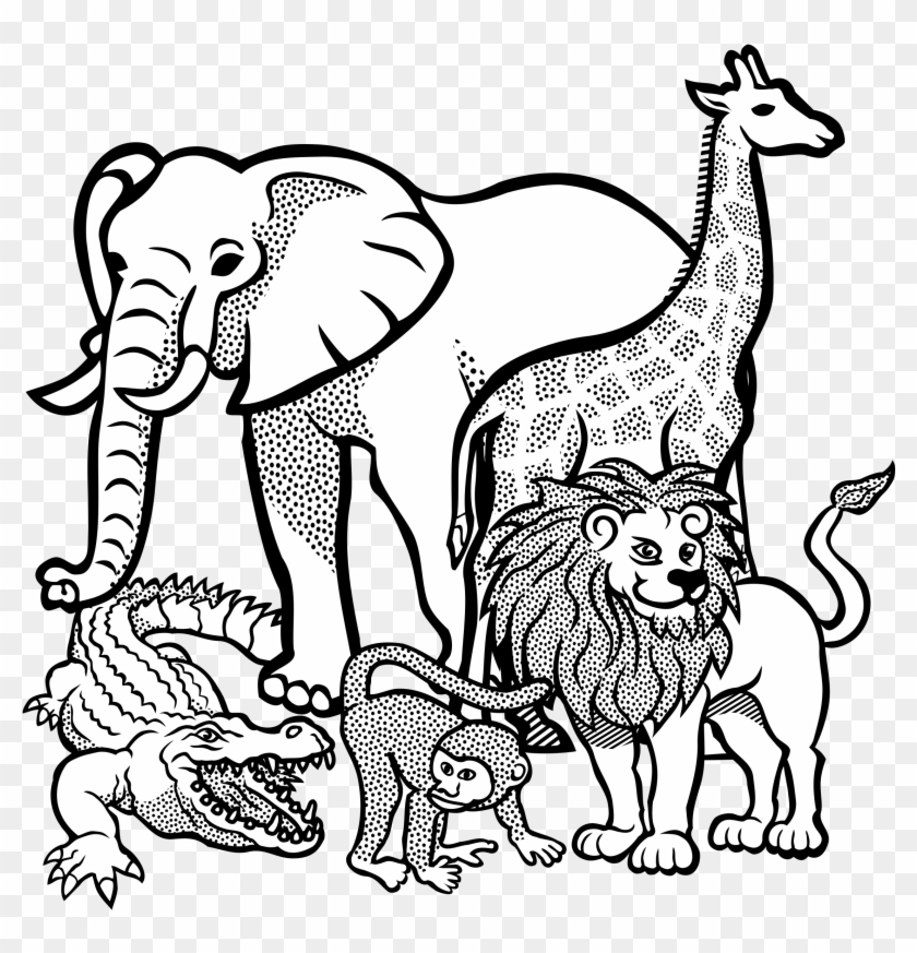 Clipart - Zoo Animals For Colouring #181914