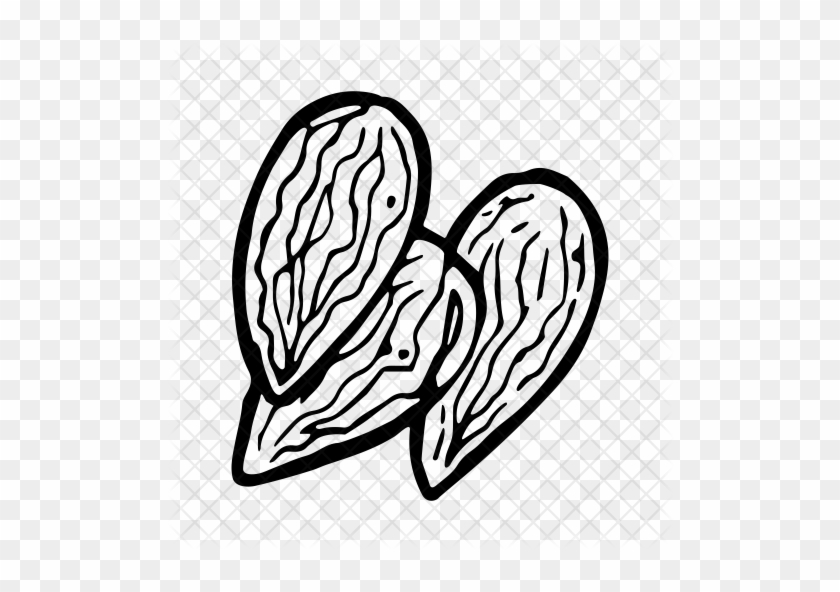 Almond Icon - Almond Black And White Png #1027355