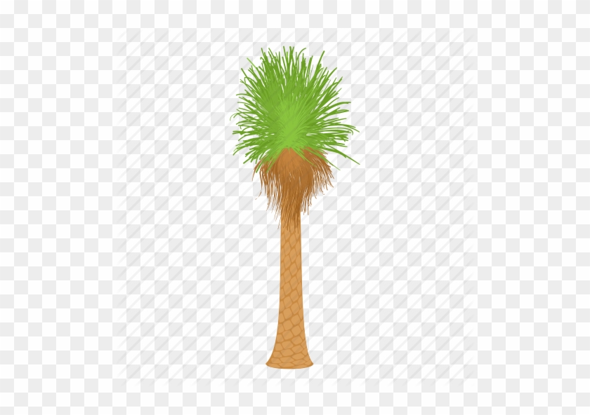 Palm Trees Cartoon - Palm Trees #1027680