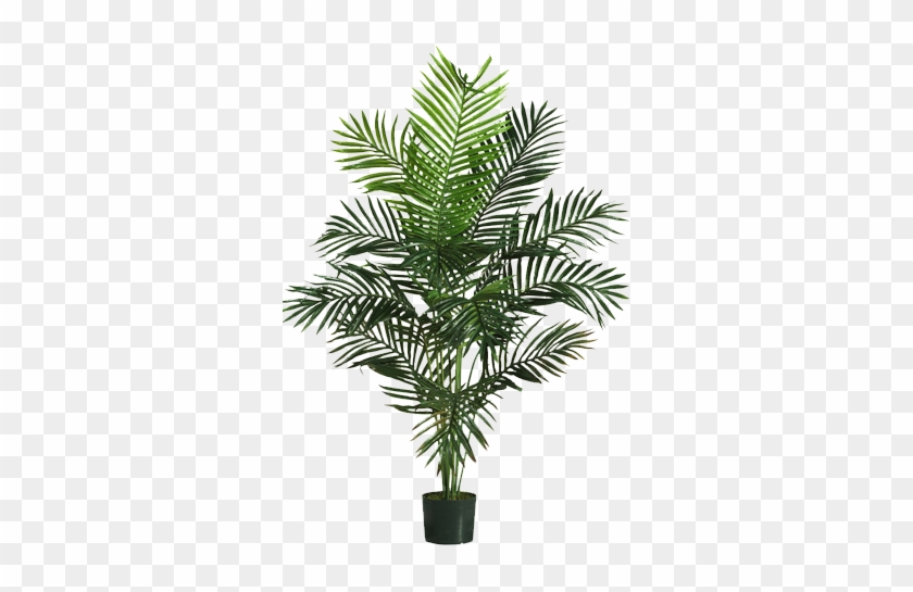 Beachcrest Home Black Hammock Palm Tree With Pot Decorist - Fake Palm Trees #1027686