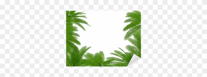 Palm Trees Und Hibiscus Flowers Frame Sticker • Pixers® - Cornice Palme #1027708