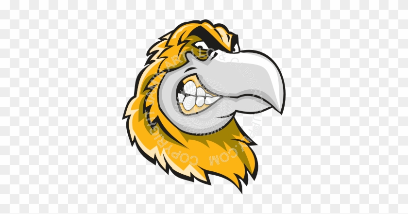 Hawk #1027712