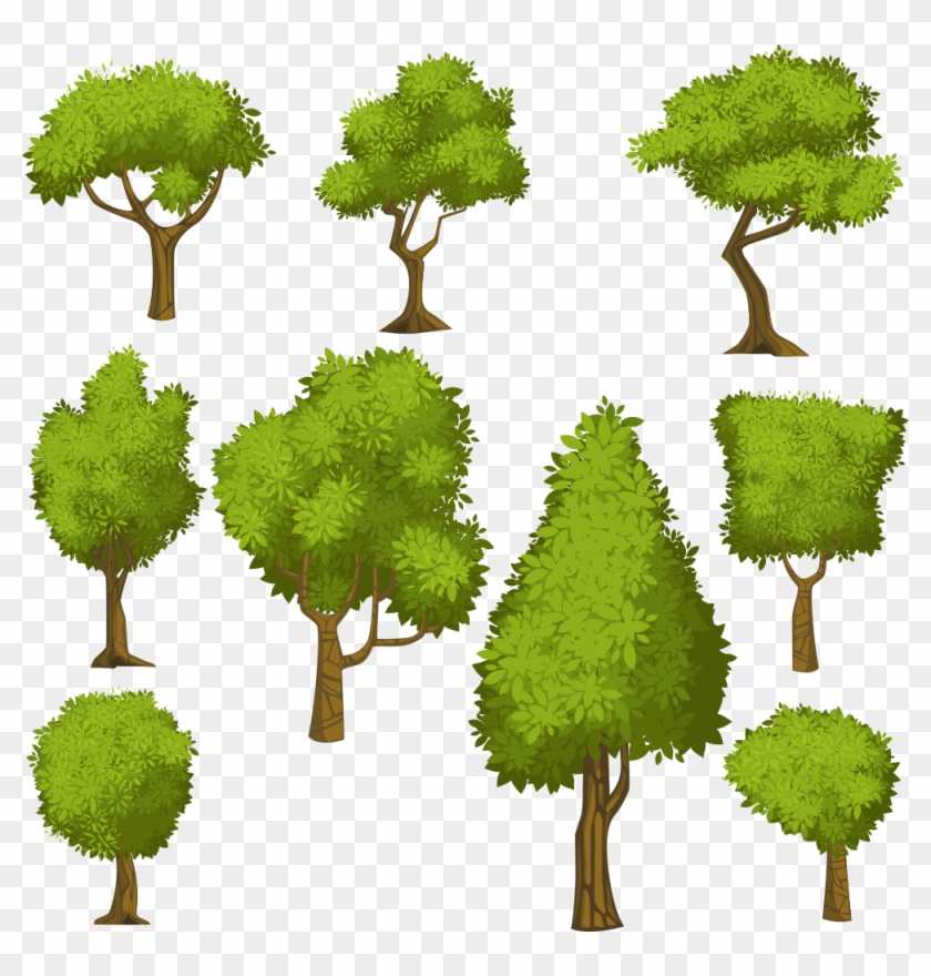 Tree Euclidean Vector Shrub Illustration - Desenhos De Arvores Em Conjunto #1027724