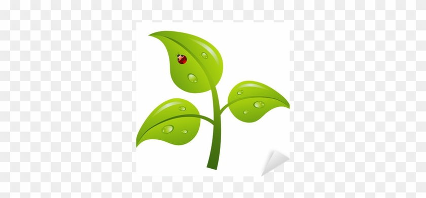 Vinilo Pixerstick Rama De Árbol Verde, Vector • Pixers® - Cartoon #1027955