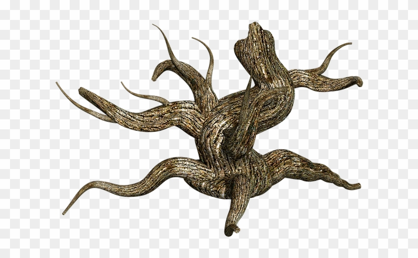 Stump, Tree, Wood, Nature, Plant, Timber, Old, Trunk - Dessert Grass Plants Png #1028102