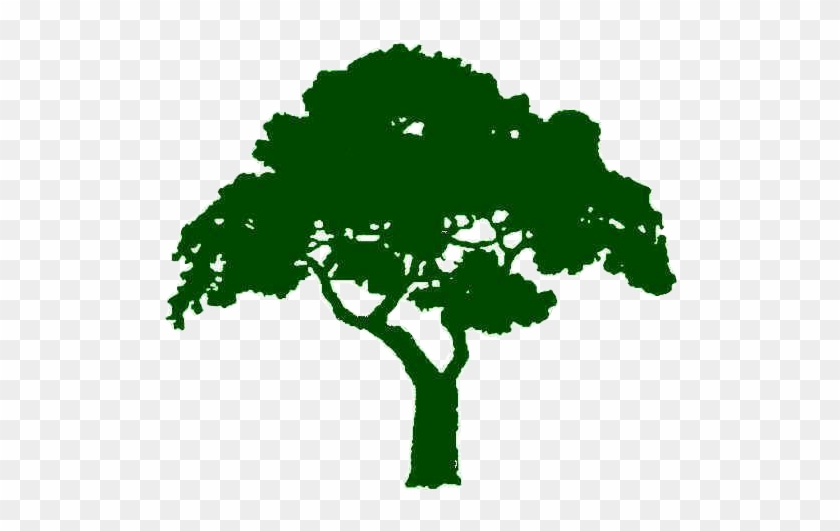 Sayer's Tree Services - Balsa #1028114