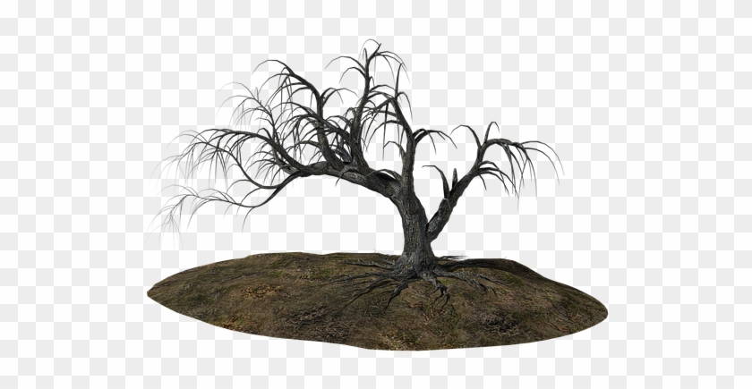 Tree, Old, Ill, Old Tree, Nature, Wood, Gnarled - Before The Heart Fell Silent: Collected Poems #1028266