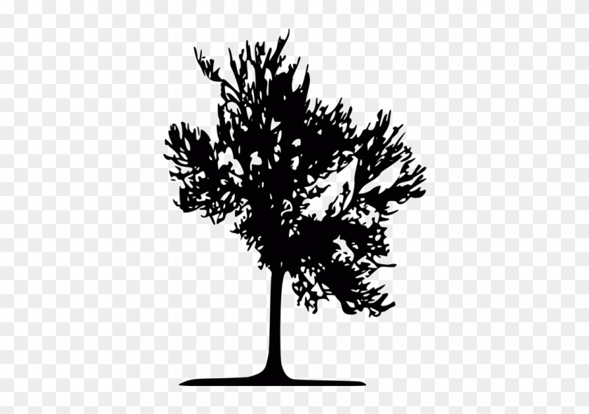 Black Tree Transparent Gif #1028309