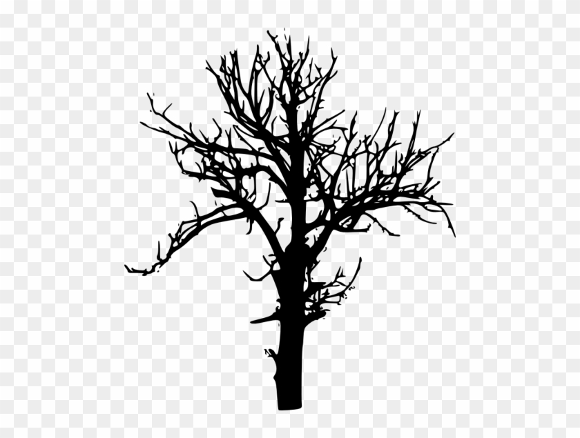 Free Png Tree Silhouette Png Images Transparent - Silhouette Trees Transparent Background #1028318
