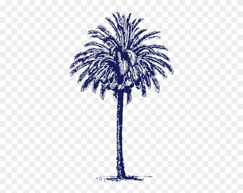 Navy Clipart Tree - 3drose Pink Vintage Palm Tree - Summer - Travel - Tropical #1028358