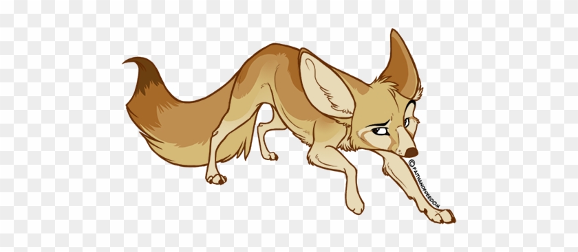 Fennec Fox For Un - Fennec Fox #1028393