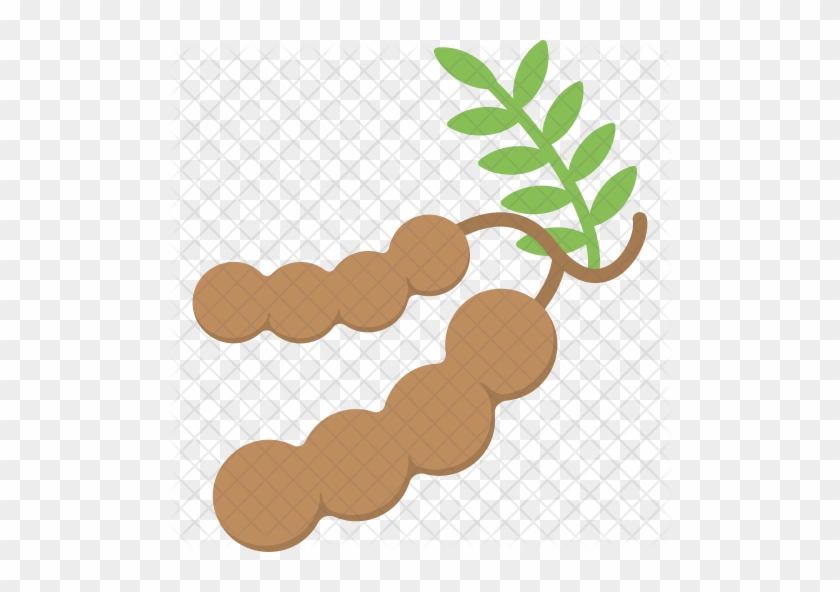 Tamarind Icon - Tamarind Icon #1029397