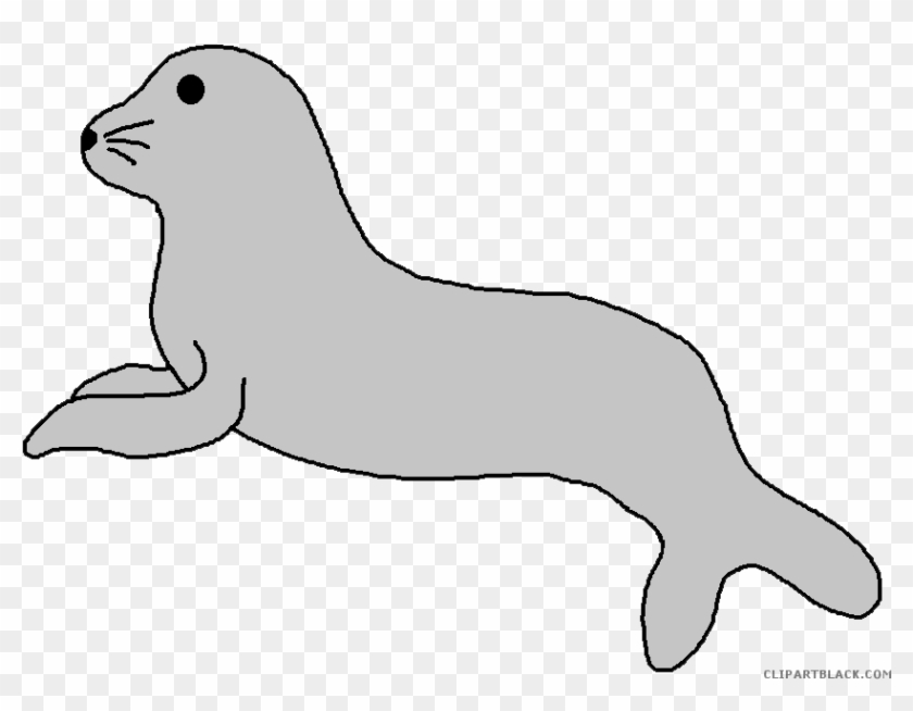 Seal Animal Free Black White Clipart Images Clipartblack - Cartoon Seals #1030184