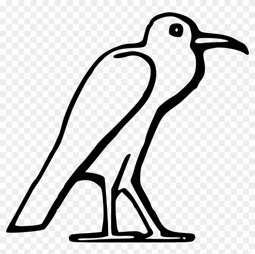 Bird Clipart Leg - Egyptian Bird #1030747