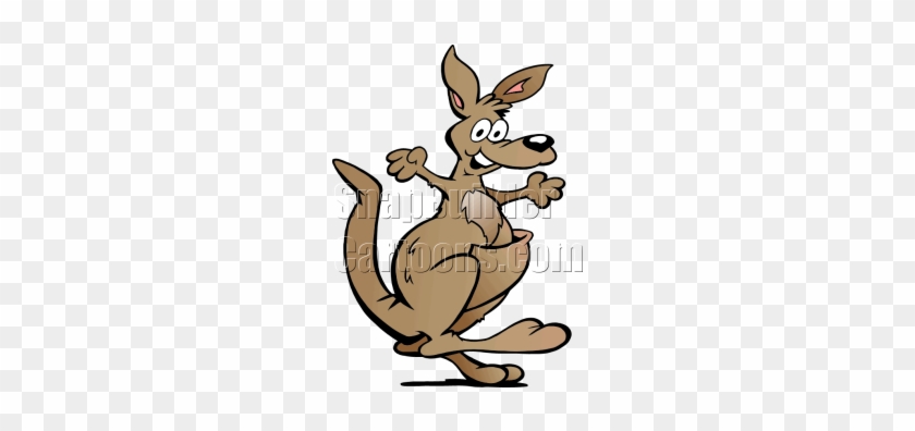 10in X 3in Have A Hoppy Day Bumper Sticker Vinyl Kangaroo #1030792