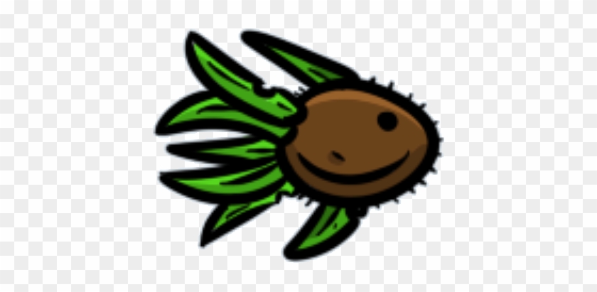 Coconut Fish - Cartoon #1030930