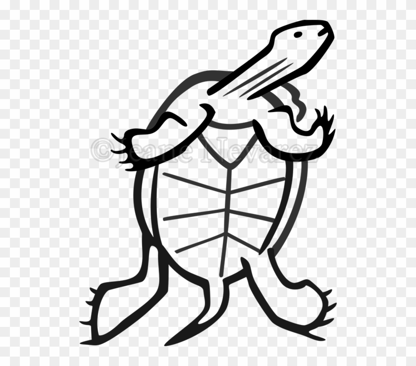 Turtle Swimming - Turtle Swimming #1031126