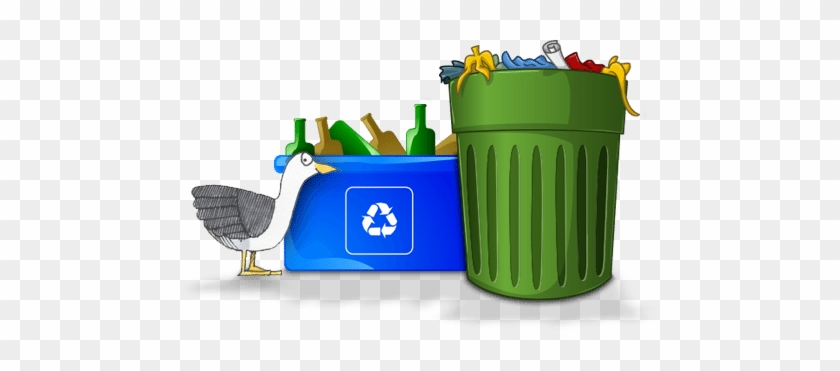 B - I - R - M - Trash And Recyclable Pick-up - Picking Up Trash And Recycling #1032566