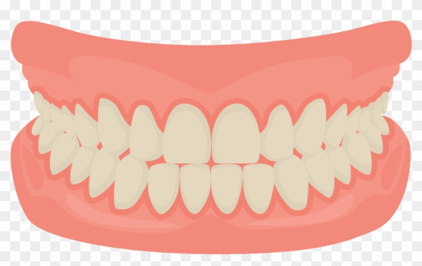 Human Tooth Smile Mouth Dentistry - Teeth Cartoon #1032736