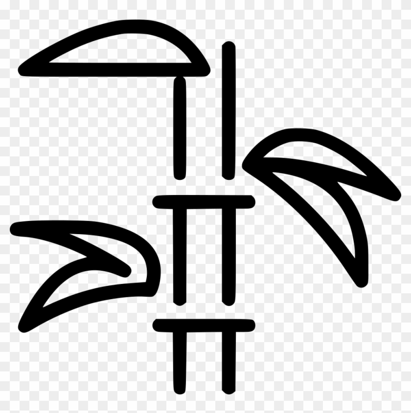 Bamboo Plant Beauty Comments - Icon #1034831