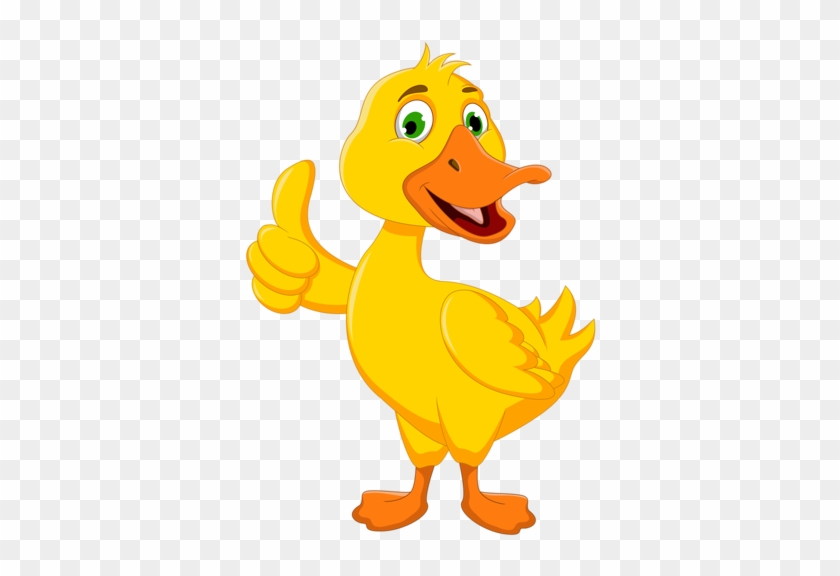 Album - Duck Clipart #1034855